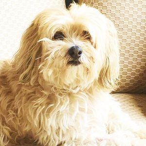 Meet your Posher, Sandra